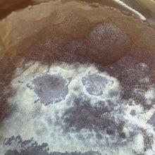 Load image into Gallery viewer, Agate Polished Geode #03