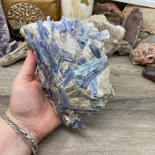将图像加载到图库查看器中,Blue Kyanite Cluster #03