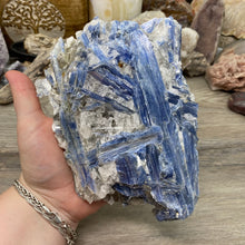 将图像加载到图库查看器中,Blue Kyanite Cluster #03