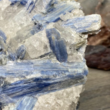 将图像加载到图库查看器中,Blue Kyanite Cluster #03