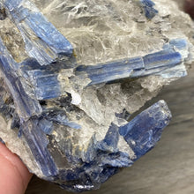 将图像加载到图库查看器中,Blue Kyanite Cluster #03