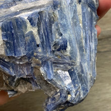 将图像加载到图库查看器中,Blue Kyanite Cluster #03