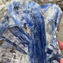 将图像加载到图库查看器中,Blue Kyanite Cluster #03