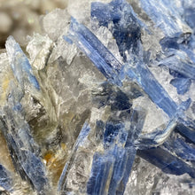 将图像加载到图库查看器中,Blue Kyanite Cluster #03