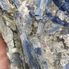 将图像加载到图库查看器中,Blue Kyanite Cluster #03