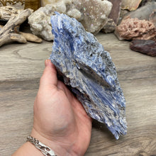 将图像加载到图库查看器中,Blue Kyanite Cluster #04 with Garnet