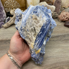 将图像加载到图库查看器中,Blue Kyanite Cluster #04 with Garnet