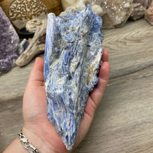 将图像加载到图库查看器中,Blue Kyanite Cluster #04 with Garnet