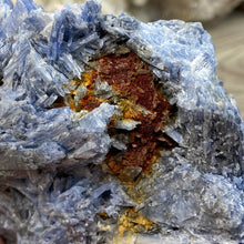 将图像加载到图库查看器中,Blue Kyanite Cluster #04 with Garnet