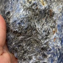 将图像加载到图库查看器中,Blue Kyanite Cluster #04 with Garnet