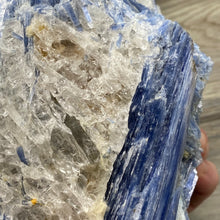 将图像加载到图库查看器中,Blue Kyanite Cluster #04 with Garnet