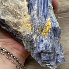 将图像加载到图库查看器中,Blue Kyanite Cluster #04 with Garnet