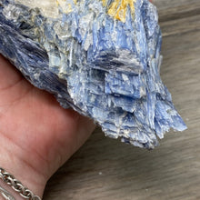 将图像加载到图库查看器中,Blue Kyanite Cluster #04 with Garnet