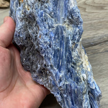 将图像加载到图库查看器中,Blue Kyanite Cluster #04 with Garnet