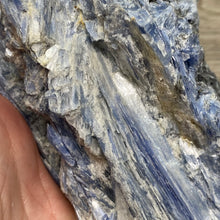 将图像加载到图库查看器中,Blue Kyanite Cluster #04 with Garnet