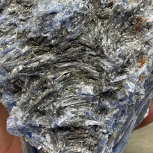 将图像加载到图库查看器中,Blue Kyanite Cluster #04 with Garnet