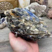 Bild in Galerie-Viewer laden, Blue Kyanite Cluster #05 with Garnet