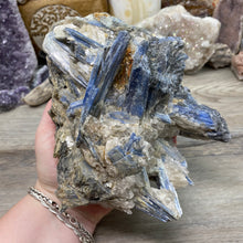 Bild in Galerie-Viewer laden, Blue Kyanite Cluster #05 with Garnet