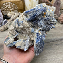 Bild in Galerie-Viewer laden, Blue Kyanite Cluster #05 with Garnet