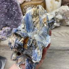 Bild in Galerie-Viewer laden, Blue Kyanite Cluster #05 with Garnet