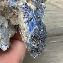 Bild in Galerie-Viewer laden, Blue Kyanite Cluster #05 with Garnet