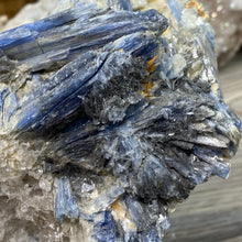 Bild in Galerie-Viewer laden, Blue Kyanite Cluster #05 with Garnet