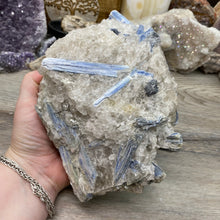 将图像加载到图库查看器中,Blue Kyanite Cluster #06