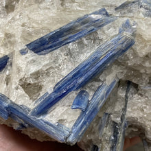 将图像加载到图库查看器中,Blue Kyanite Cluster #06
