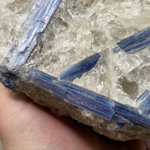 将图像加载到图库查看器中,Blue Kyanite Cluster #06