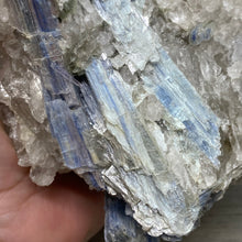 将图像加载到图库查看器中,Blue Kyanite Cluster #06