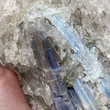 将图像加载到图库查看器中,Blue Kyanite Cluster #06