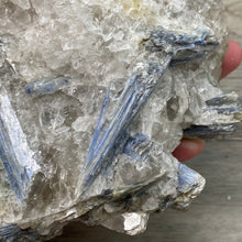 将图像加载到图库查看器中,Blue Kyanite Cluster #06