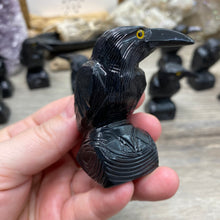 Bild in Galerie-Viewer laden, Black Onyx 2.5" Ravens from Peru