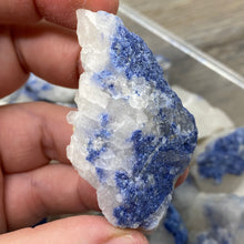 Bild in Galerie-Viewer laden, Dumortierite "Blue Quartz"  Rough in Quartz