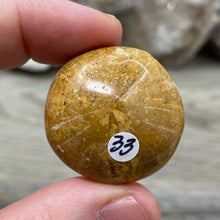 Bild in Galerie-Viewer laden, Sand Dollar Fossils