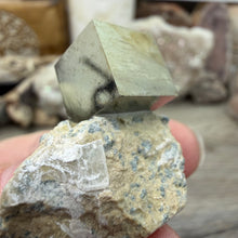 Load image into Gallery viewer, Cubic Pyrite on Matrix from Spain #04