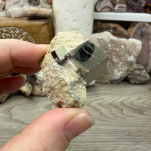 Load image into Gallery viewer, Cubic Pyrite on Matrix from Spain #05