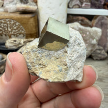 Load image into Gallery viewer, Cubic Pyrite on Matrix from Spain #05
