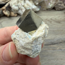 Bild in Galerie-Viewer laden, Cubic Pyrite on Matrix from Spain #08