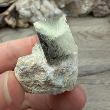 Bild in Galerie-Viewer laden, Cubic Pyrite on Matrix from Spain #08