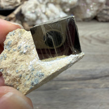 Bild in Galerie-Viewer laden, Cubic Pyrite on Matrix from Spain #10