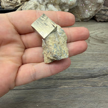 Bild in Galerie-Viewer laden, Cubic Pyrite on Matrix from Spain #10