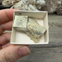 Bild in Galerie-Viewer laden, Cubic Pyrite on Matrix from Spain #10
