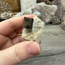 Bild in Galerie-Viewer laden, Cubic Pyrite on Matrix from Spain #11