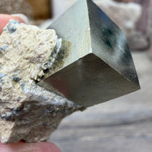 将图像加载到图库查看器中,Cubic Pyrite on Matrix from Spain #13