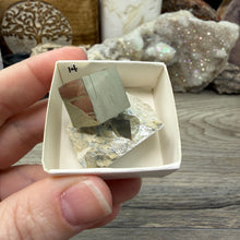 Cargar imagen en el visor de la galería, Cubic Pyrite on Matrix from Spain #14