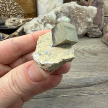 Cargar imagen en el visor de la galería, Cubic Pyrite on Matrix from Spain #15