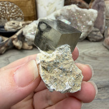 将图像加载到图库查看器中,Cubic Pyrite on Matrix from Spain #17