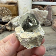 Cargar imagen en el visor de la galería, Cubic Pyrite on Matrix from Spain #18