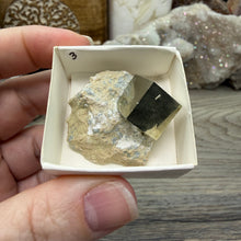 Load image into Gallery viewer, Cubic Pyrite on Matrix from Spain #03